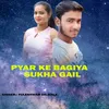 About Pyar Ke Bagiya Sukh Gail Song