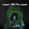 About I Want You To Know Song