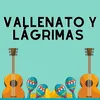 About Vallenato y lagrimas Song