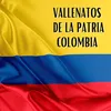 Vallenatos de la patria colombia