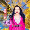 About 高原上的白杨树 Song