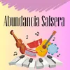 About Abundancia salsera Song