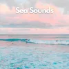 Seashore Sonata