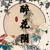 About 醉花阴 Song