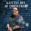 About A Little Bit of Christmas Song