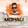 About Shehar Mohali Song