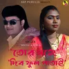 About TOR SANGE DIBO PHUL PATAI Song