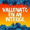 Vallenato en mi Interior