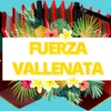 About Fuerza Vallenata Song