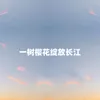 About 一树樱花绽放长江 Song