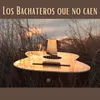 About Los bachateros que no caen Song
