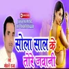 About Sola Saal Ke Tore Jawani Song