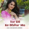 About Tor Dil Ke Bhitar Ma Song