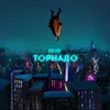 About Торнадо Song