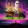 About Hamra Kara De Maiya Ke Darshan Song