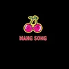 About Wang Song Song