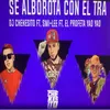 About Se Alborota Con El Tra Song