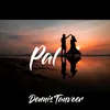 About Pal Song