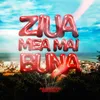 About Ziua mea mai bună Song