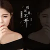About 别说离不开 Song