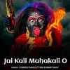 About Jai Kali Mahakali O Song