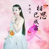 About 相思已成霜 Song