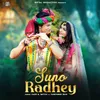 About Suno Radhey Song