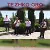 About Tezhko oro Song