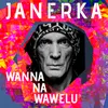About Wanna na Wawelu Song