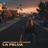 About La Pelua Song