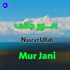 About Mur Jani Song