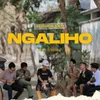 About Ngaliho Song