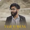 About Yaar Ni Milna Song