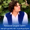 Naseeb Saqeb Tappy
