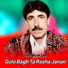 Gulo Bagh Ta Rasha Janan