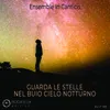 About GUARDA LE STELLE NEL BUIO CIELO NOTTURNO Song