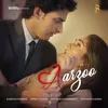 About Aarzoo Song