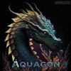 About Aquagon Song