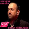 About Sevmeye Geldim Song