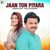 About Jaan Ton Piyara Song
