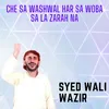 About Che Sa Washwal Har Sa Woba Sa La Zarah Na Song