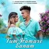 About Tum Hamare Sanam Song