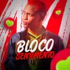 About Bloco Sentimento Song
