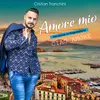 About Amore mio / Ciao Amore Song