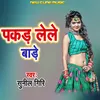 About Pakad Lele Bade Song