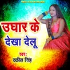 About Ughar Ke Dekha Delu Song