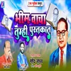 About Bhim Vacha Tumhi Pustkat Song