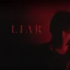 About Liar Song