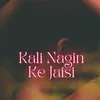 Kali Nagin Ke Jaisi