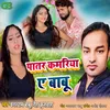 About Patar Kamariya A Babu Song